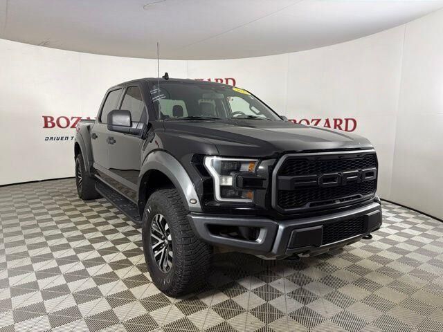 2019 Ford F-150 Raptor — photo 1 of 1