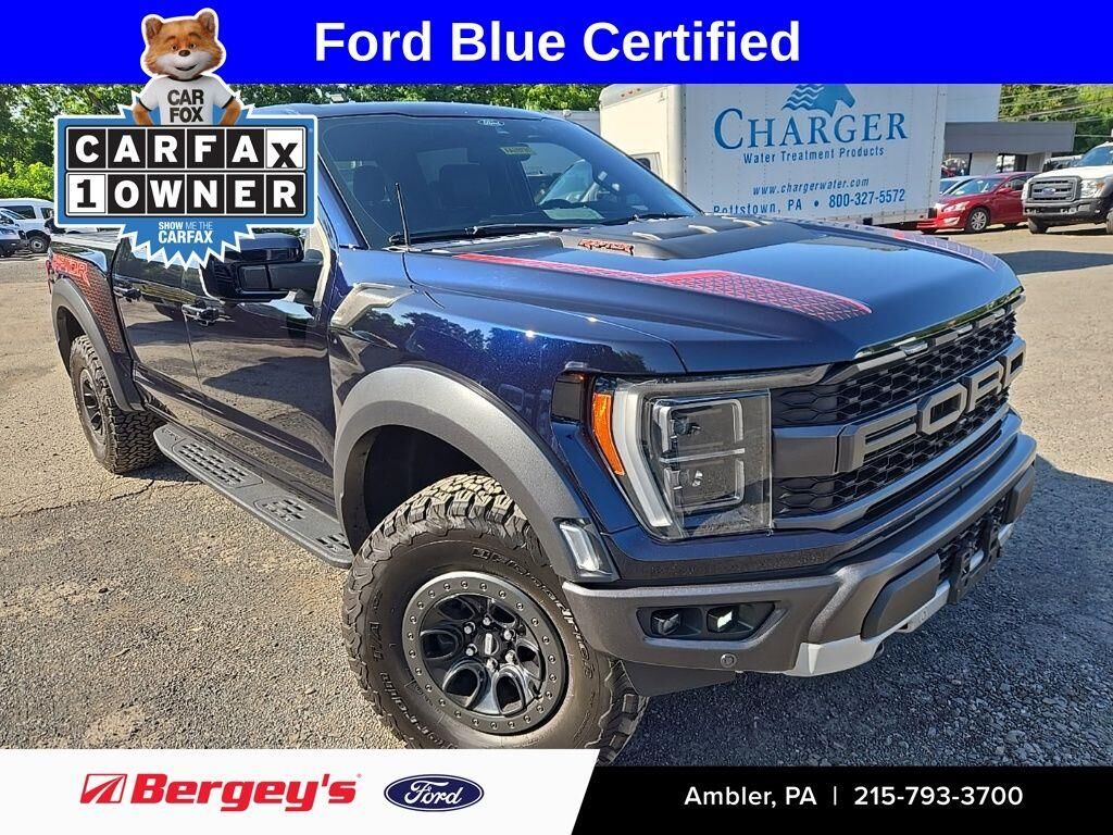 2021 Ford F-150 Raptor — photo 1 of 5