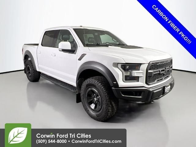 2018 Ford F-150 Raptor — photo 1 of 13