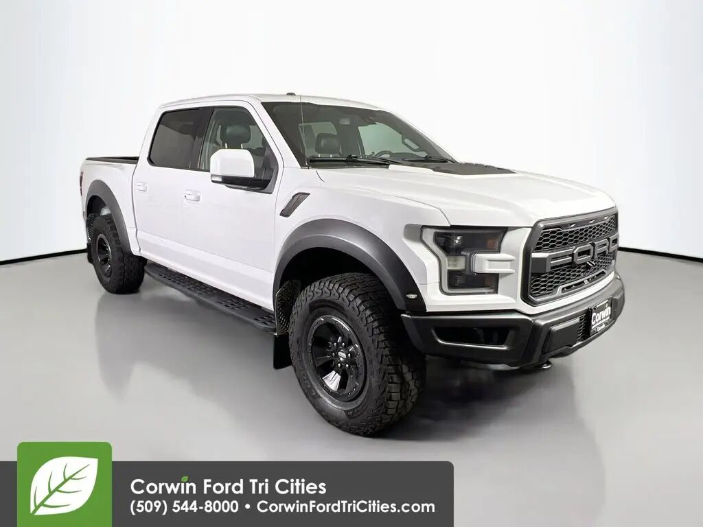 2018 Ford F-150 Raptor — photo 1 of 14