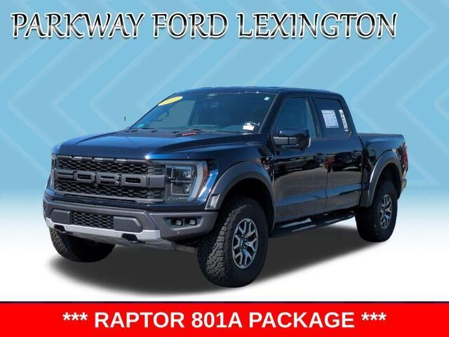 2022 Ford F-150 Raptor — photo 1 of 1