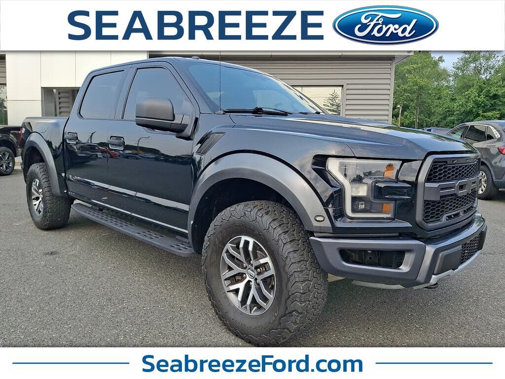 2018 Ford F-150 Raptor — photo 1 of 14
