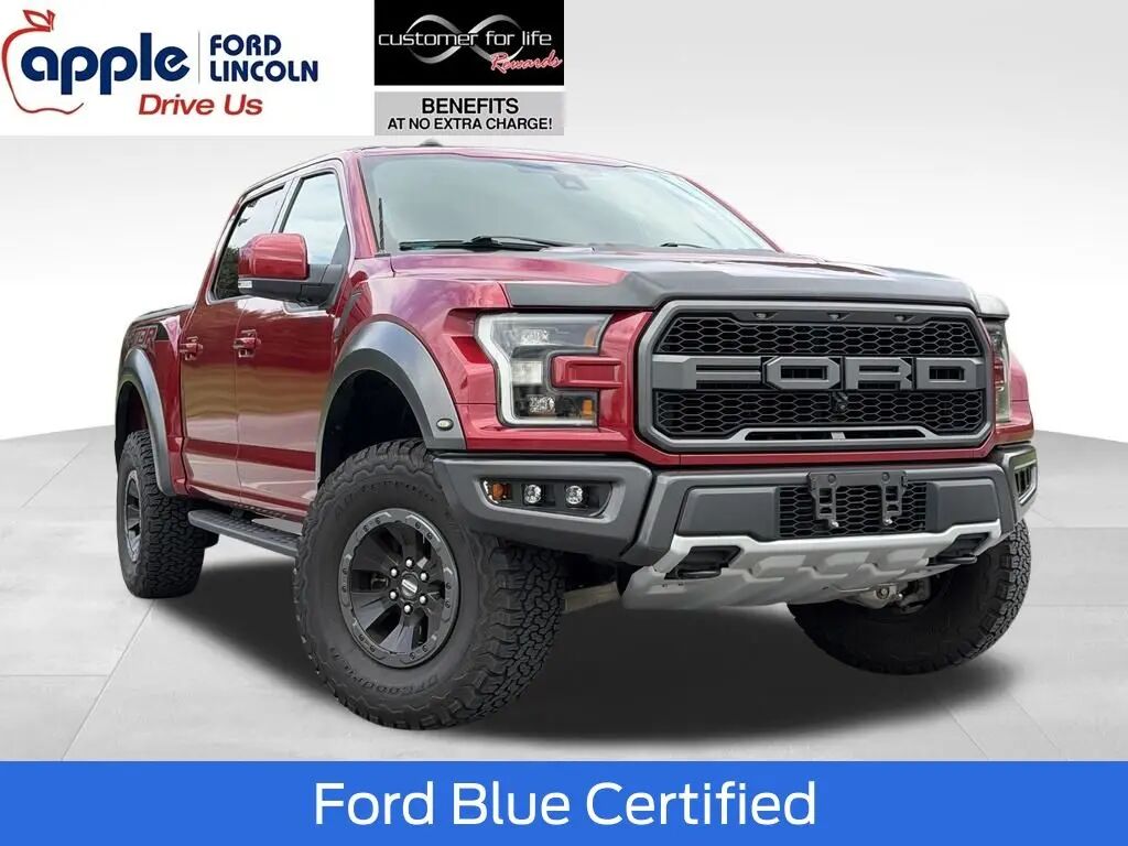 2017 Ford F-150 Raptor — photo 1 of 13