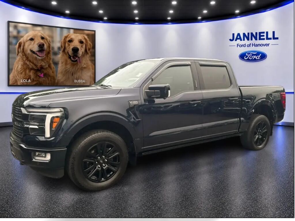 2024 Ford F-150 Platinum — photo 1 of 19