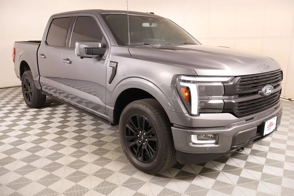 2024 Ford F-150 Platinum — photo 1 of 13