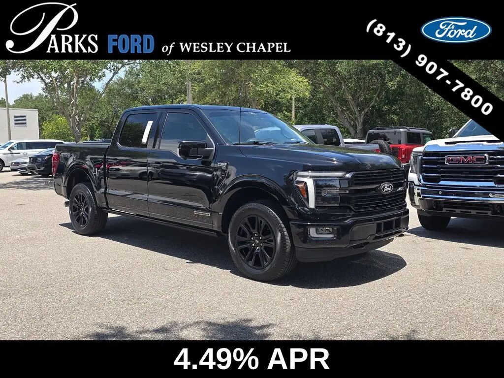 2024 Ford F-150 Platinum — photo 1 of 13