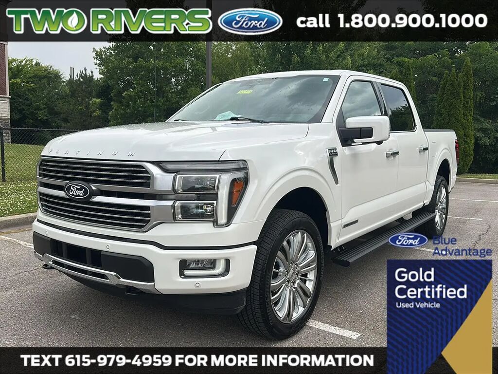 2025 Ford F-150 Platinum — photo 1 of 13