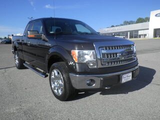 2014 Ford F-150 FX4