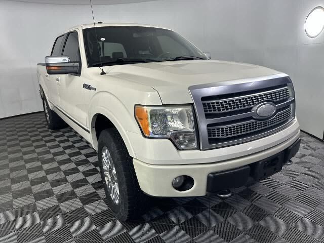 2009 Ford F-150 Platinum