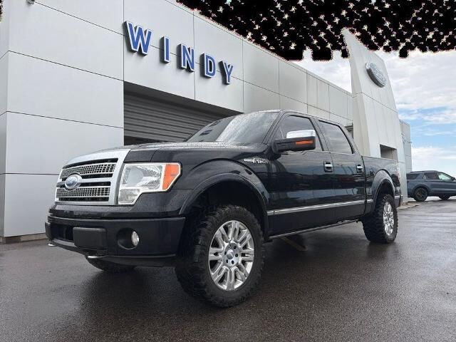 2009 Ford F-150 Platinum