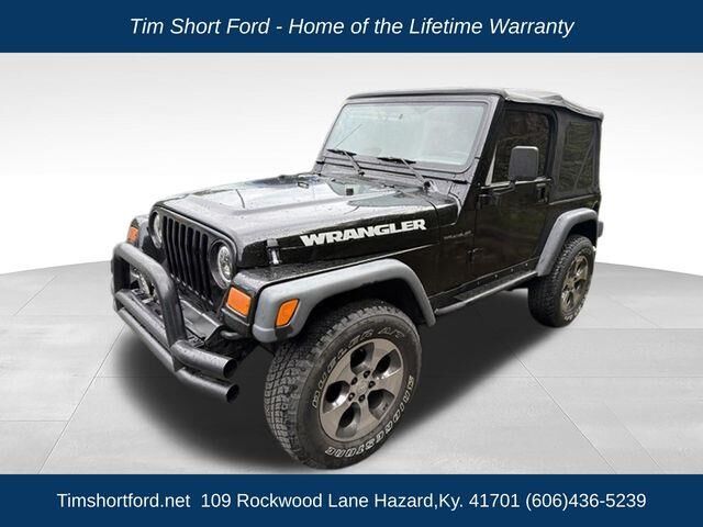 1999 Jeep Wrangler SE — photo 1 of 1