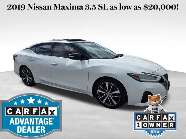 2019 Nissan Maxima 3.5 SL — photo 1 of 13