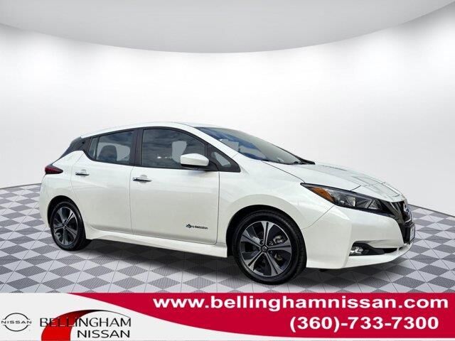2019 Nissan LEAF SV