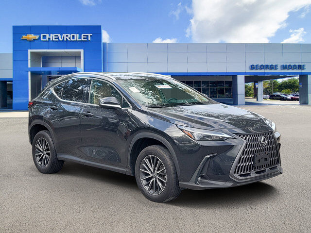 2024 Lexus NX NX 350 — photo 1 of 1