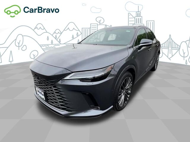 2025 Lexus RX Luxury