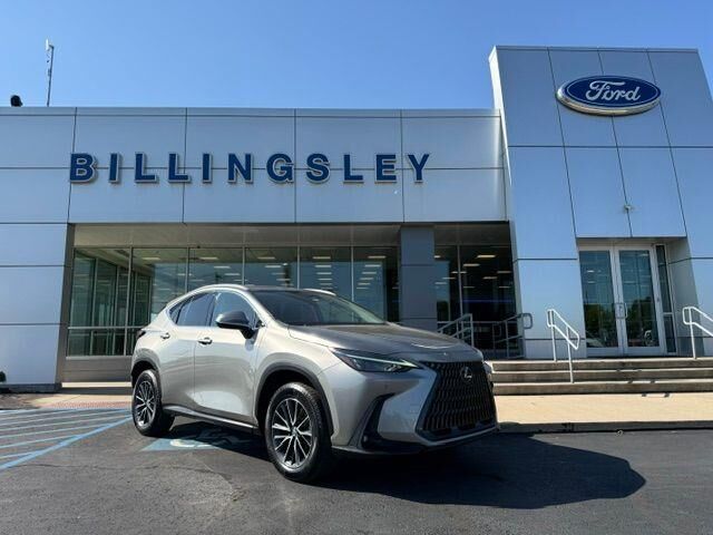 2023 Lexus NX 250 Premium — photo 1 of 13