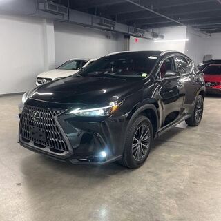 2024 Lexus NX 350 Premium