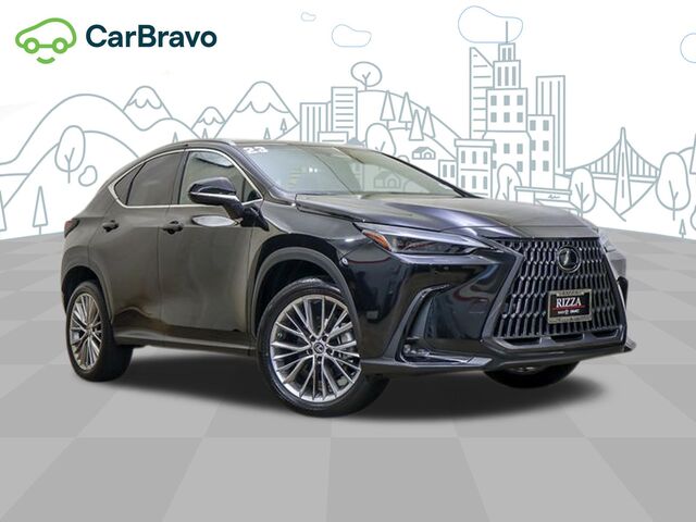2023 Lexus NX Luxury