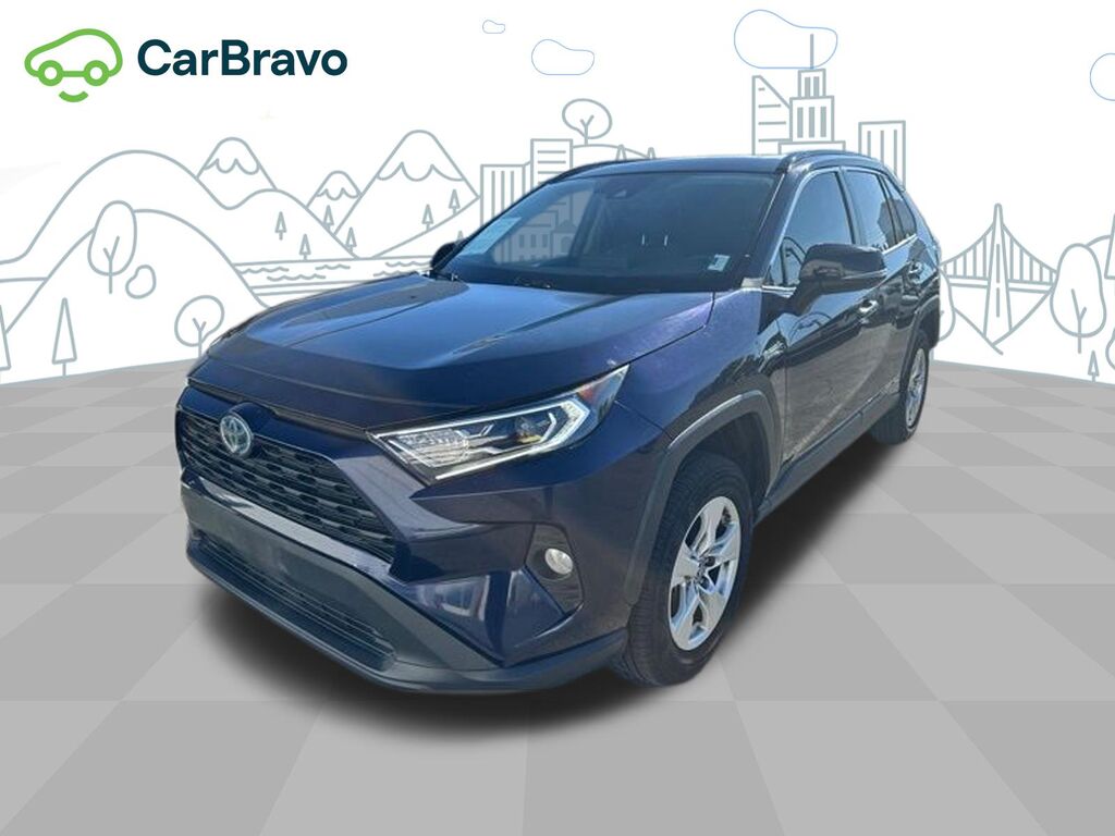 2019 Toyota RAV4 XLE — photo 1 of 7
