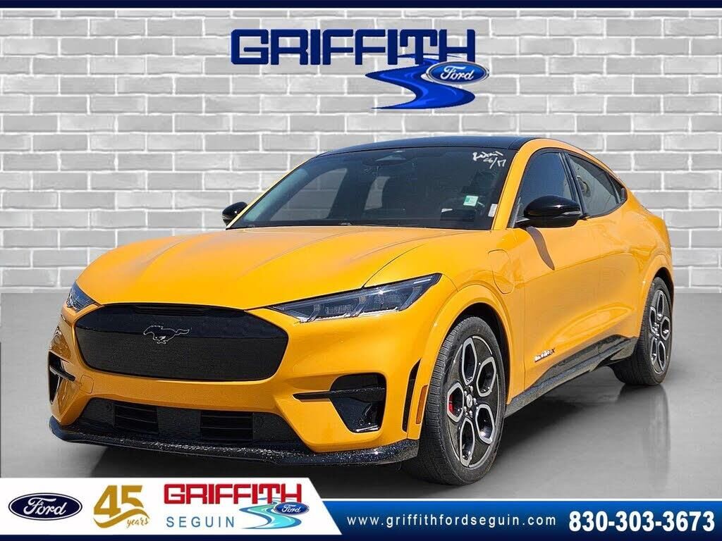 2021 Ford Mustang Mach-E GT — photo 1 of 1