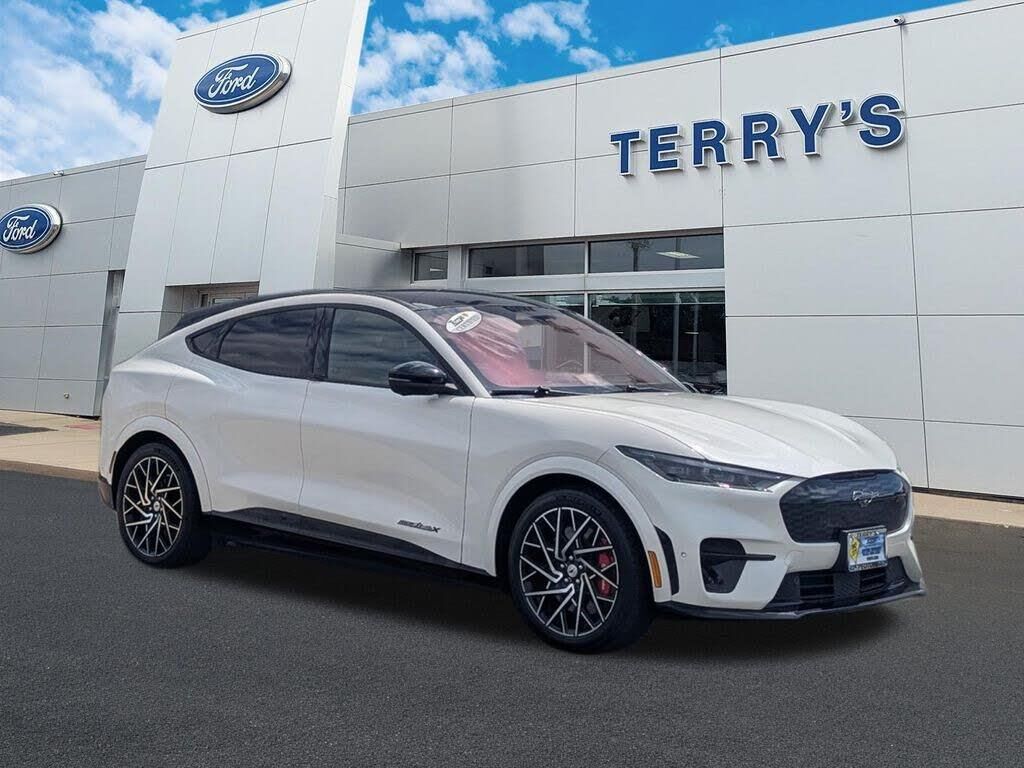 2021 Ford Mustang Mach-E GT — photo 1 of 1