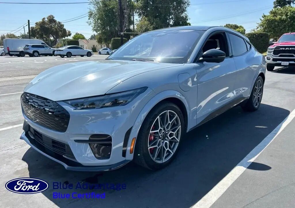 2025 Ford Mustang Mach-E GT — photo 1 of 1