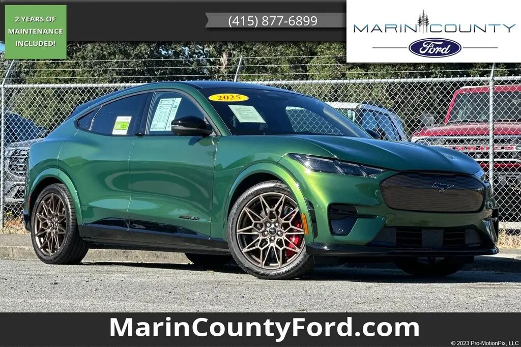 2025 Ford Mustang Mach-E GT — photo 1 of 12