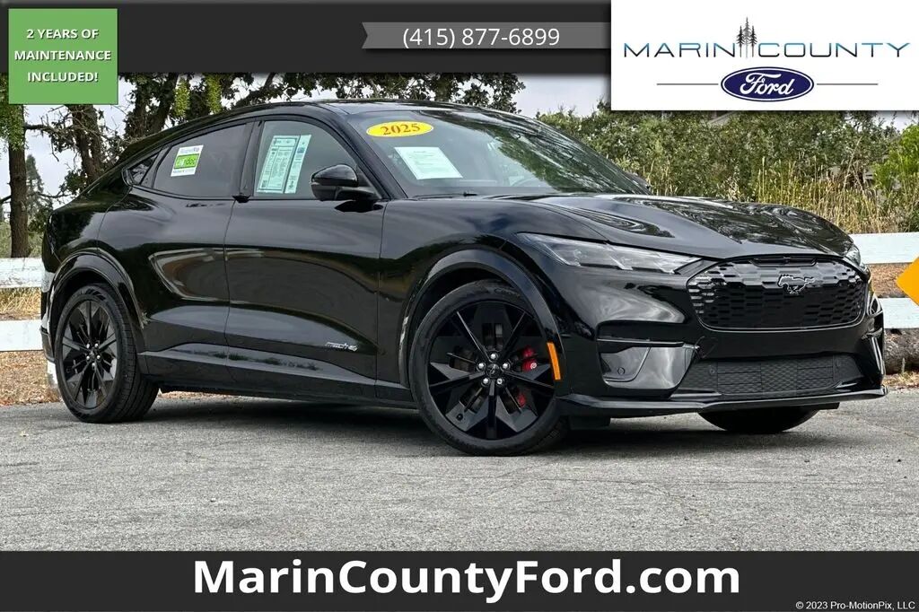 2025 Ford Mustang Mach-E GT — photo 1 of 1