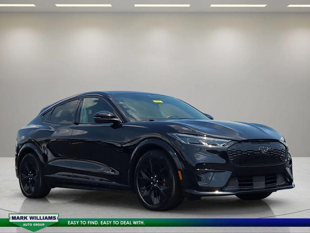 2025 Ford Mustang Mach-E GT — photo 1 of 12