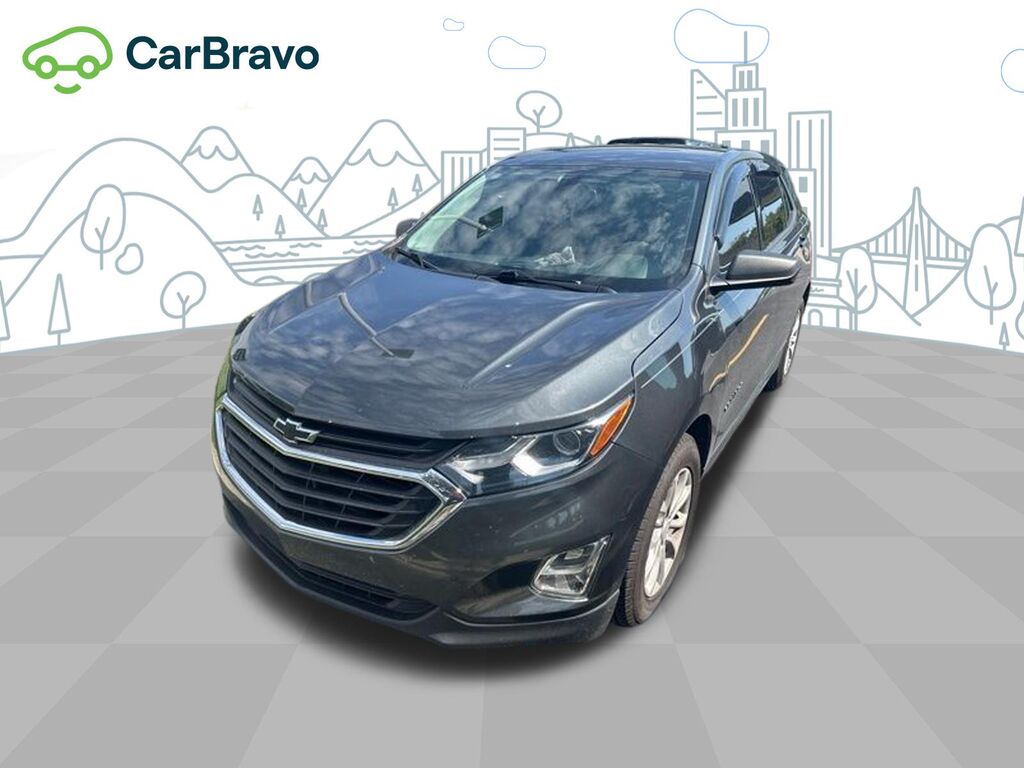 2019 Chevrolet Equinox LS — photo 1 of 3