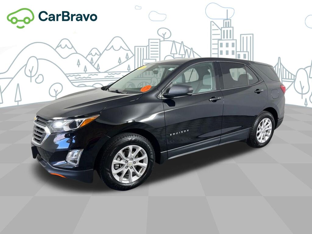 2019 Chevrolet Equinox LS — photo 1 of 7