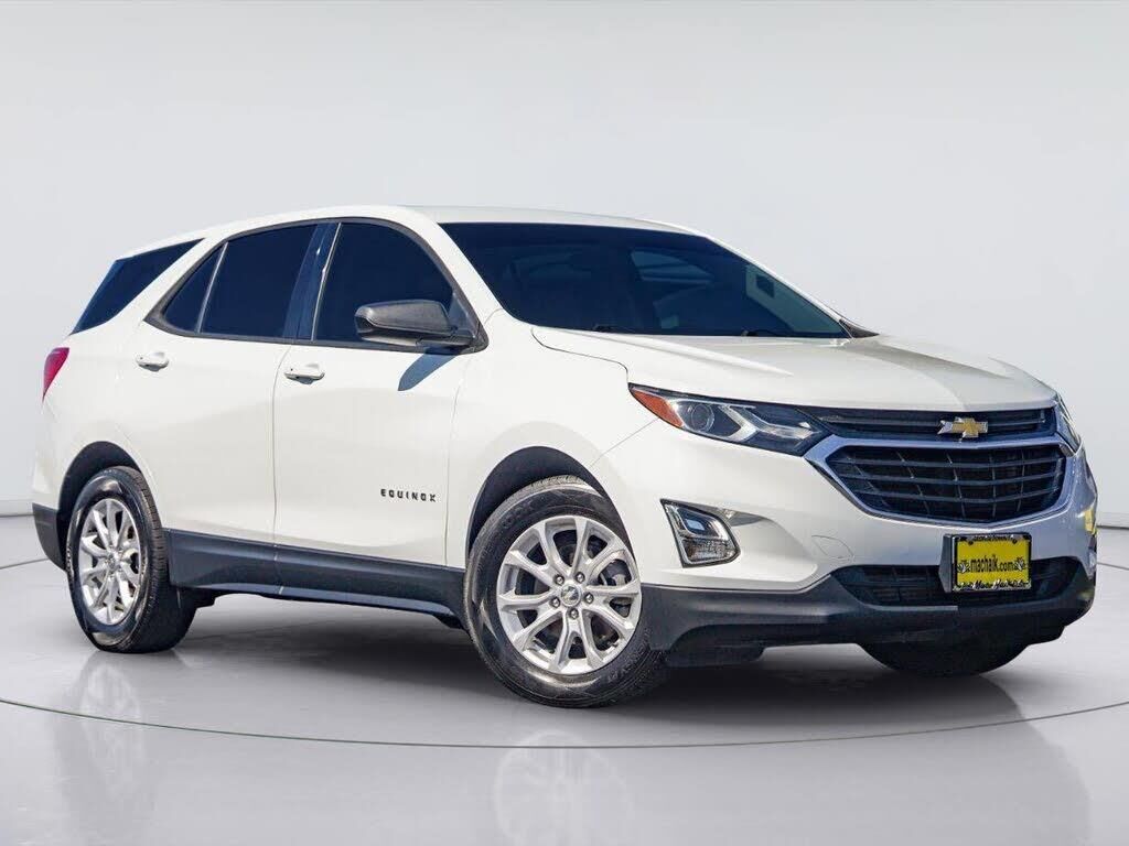 2019 Chevrolet Equinox LS — photo 1 of 1