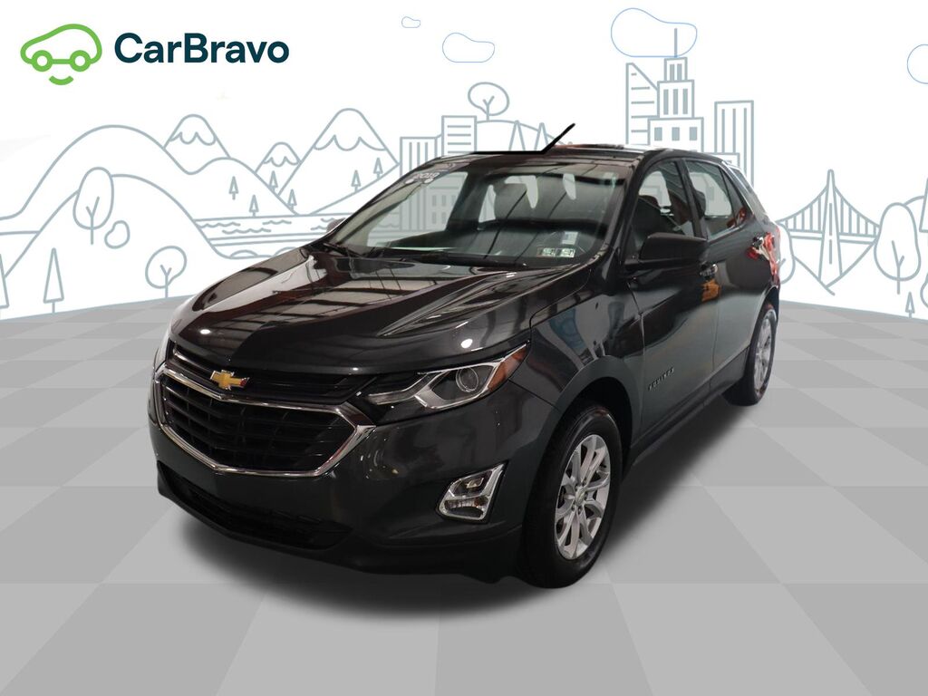 2019 Chevrolet Equinox LS — photo 1 of 7