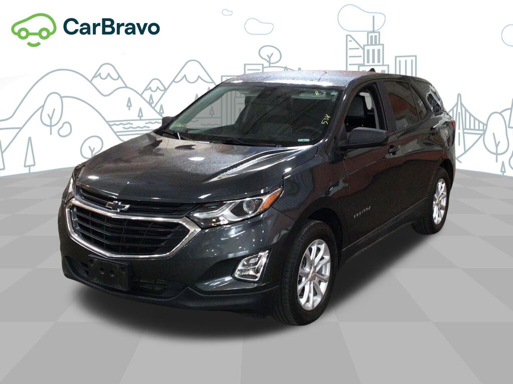 2020 Chevrolet Equinox LS — photo 1 of 7
