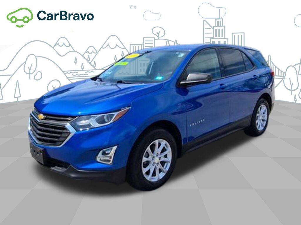 2019 Chevrolet Equinox LS — photo 1 of 7