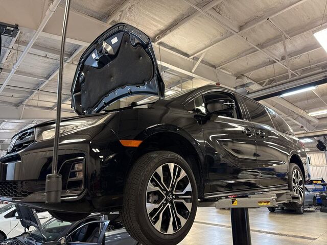 2025 Honda Odyssey Elite