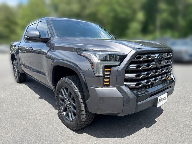 2022 Toyota Tundra Platinum — photo 1 of 5