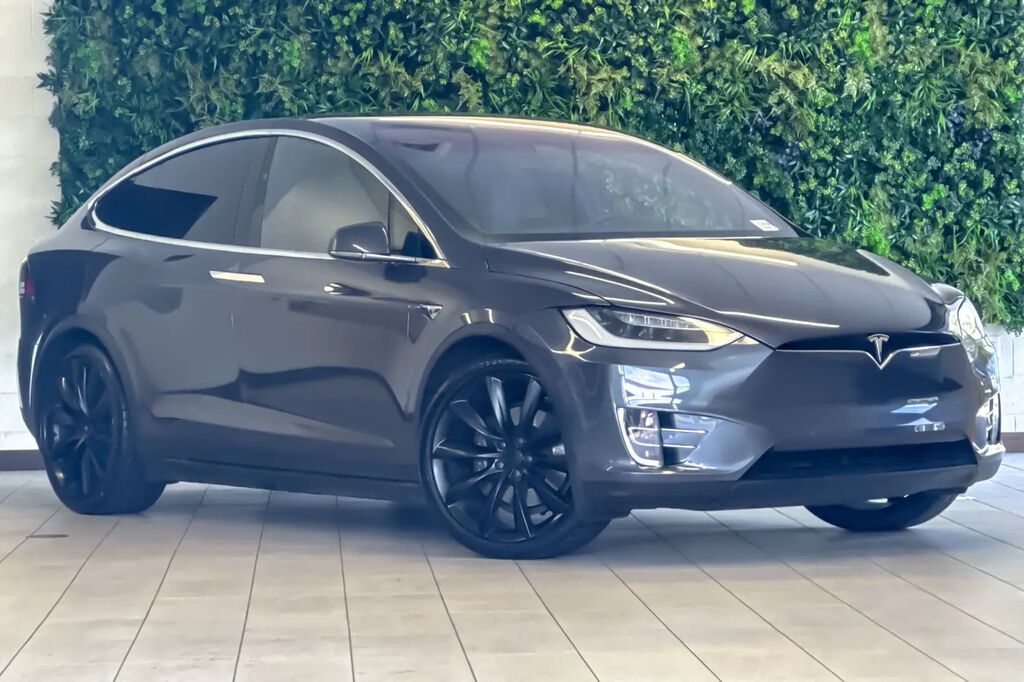 2019 Tesla Model X 75D — photo 1 of 13