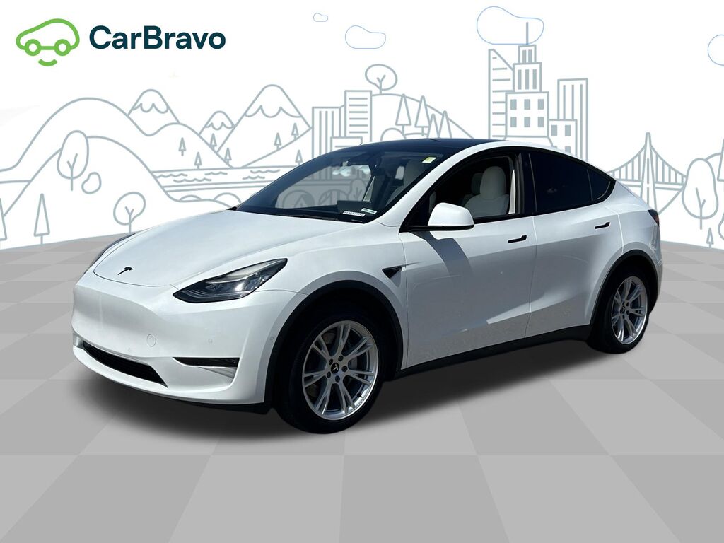 2021 Tesla Model Y Standard Range Rear-Wheel Driv — photo 1 of 7