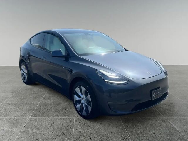 2020 Tesla Model Y Long Range