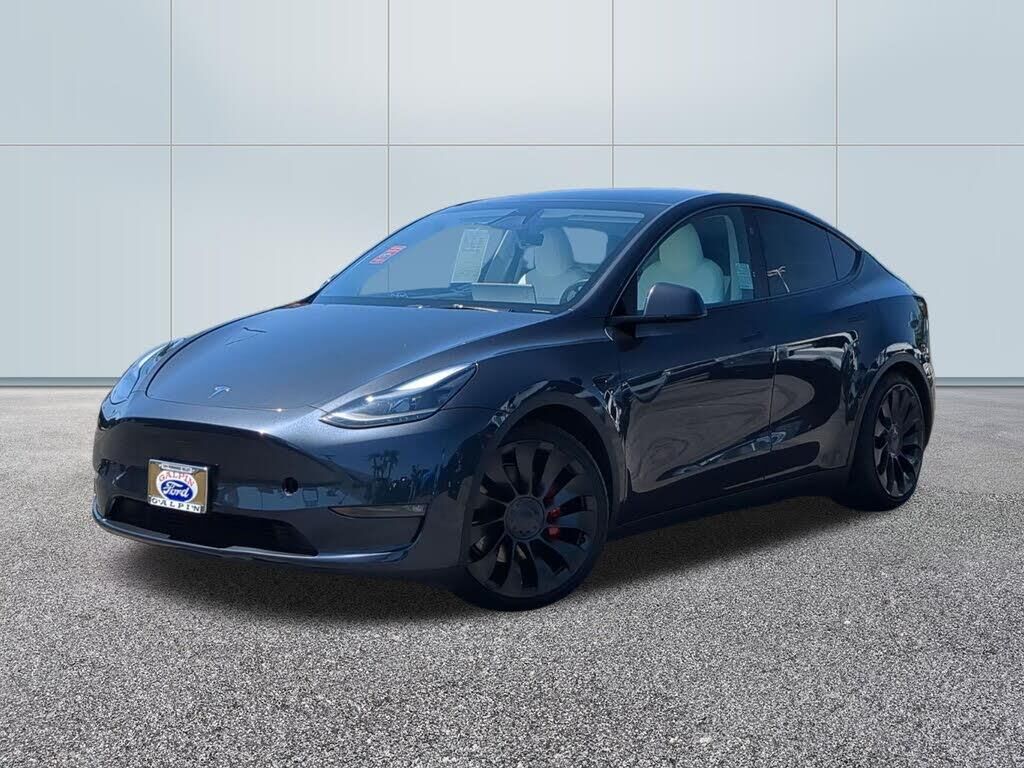 2024 Tesla Model Y Performance — photo 1 of 1