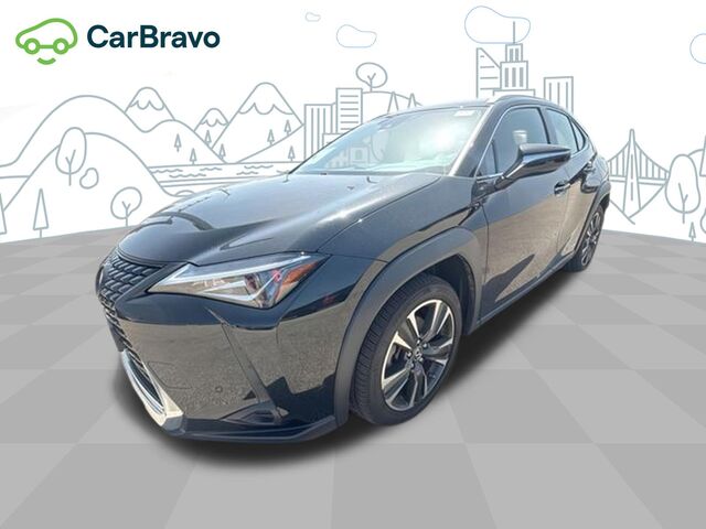 2021 Lexus UX UX 250h