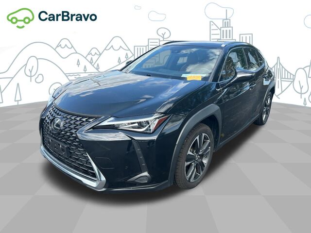 2021 Lexus UX UX 200