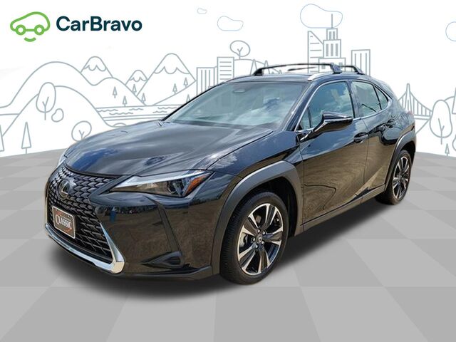 2025 Lexus UX UX 300h