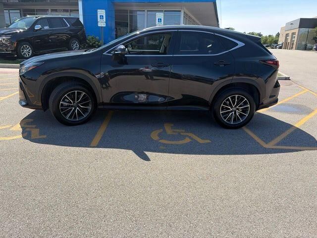 2024 Lexus NX 350h Premium