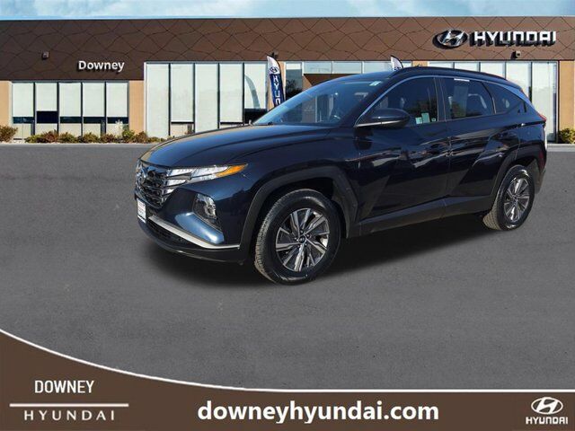 2024 Hyundai Tucson Hybrid Blue