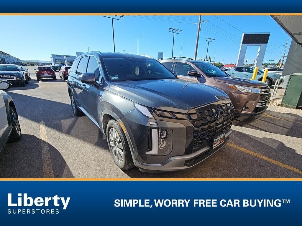 2024 Hyundai PALISADE SEL — photo 1 of 1