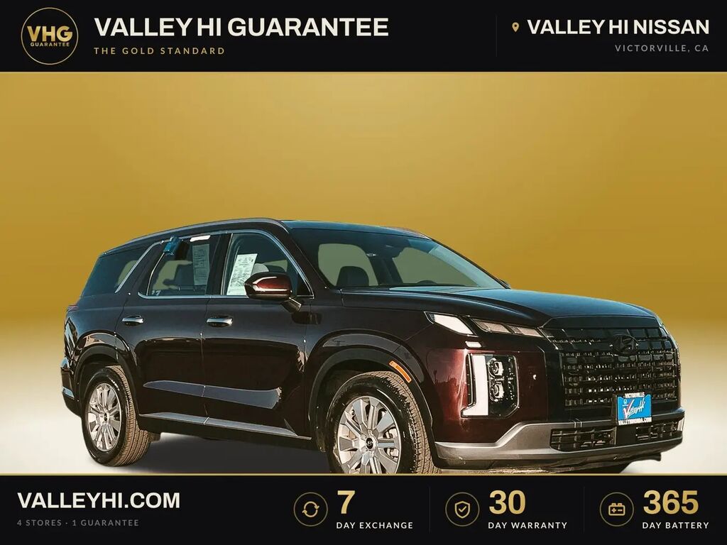 2025 Hyundai PALISADE SEL — photo 1 of 13