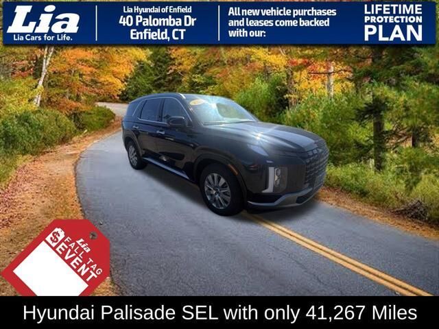 2024 Hyundai PALISADE SEL — photo 1 of 13