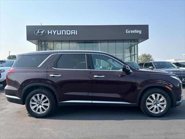 2024 Hyundai PALISADE SEL — photo 1 of 5